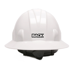 Back Logo