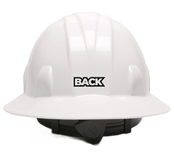 Back Logo